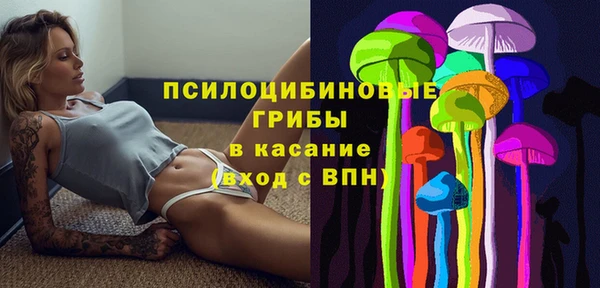 PSILOCYBIN Алексин