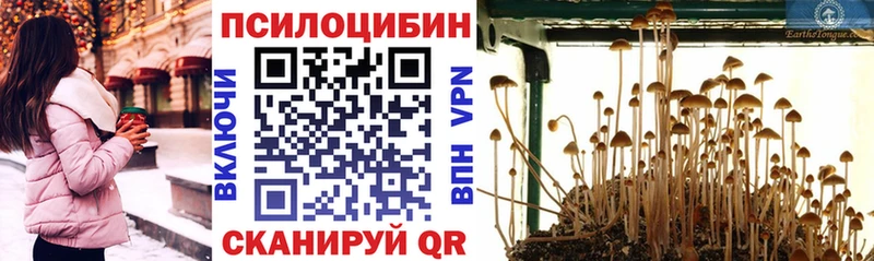 Галлюциногенные грибы Cubensis  дарнет шоп  Краснообск 
